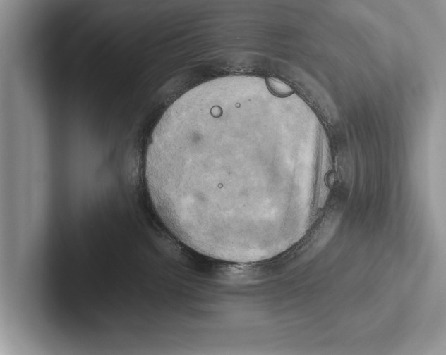 X0000102520092200809051453
