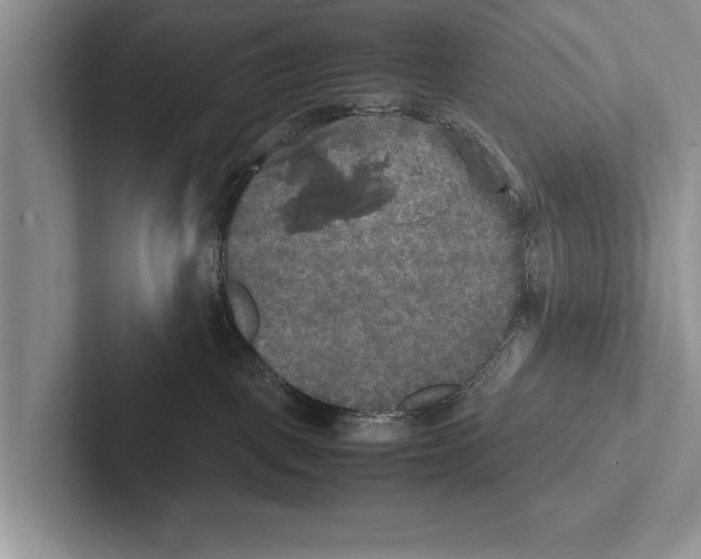 X0000102520093200809051453