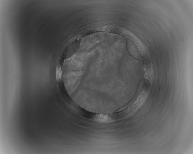 X0000102520095200809051453