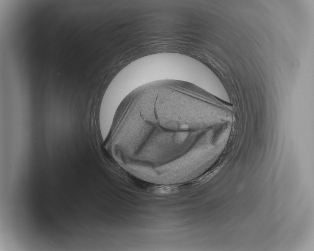 X0000102520096200809051453