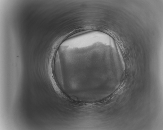 X0000102520097200809051452