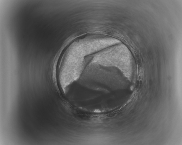 X0000102520099200809051452