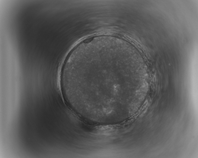 X0000102520100200809051452