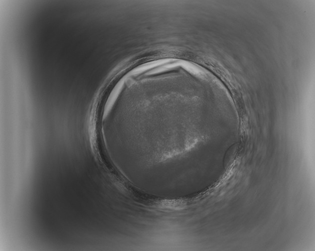 X0000102520101200809051452