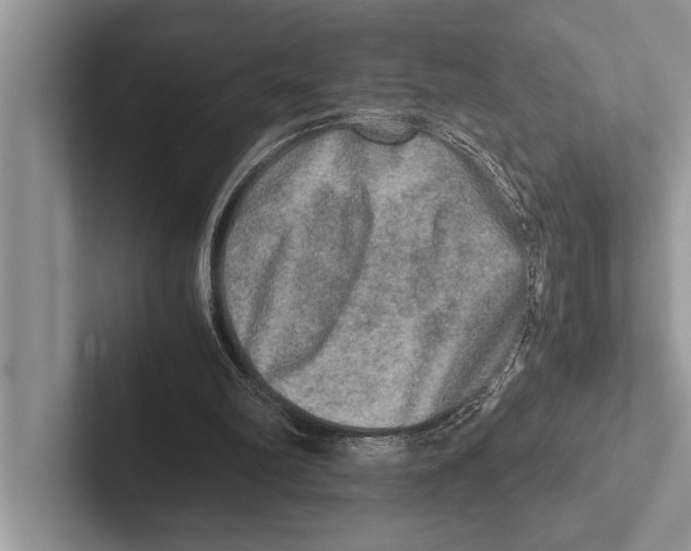 X0000102520102200809051452