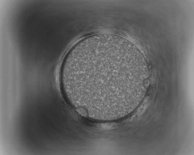 X0000102520103200809051452