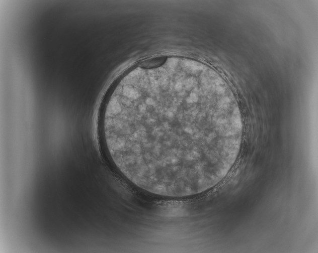 X0000102520104200809051452