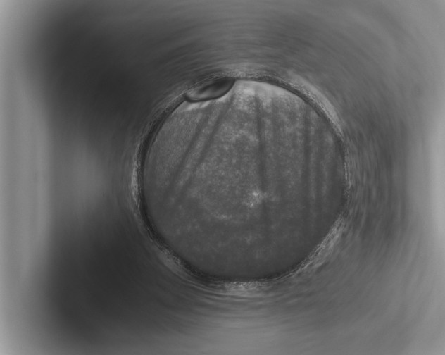 X0000102520105200809051452
