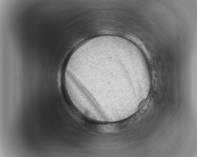 X0000102520106200809051452