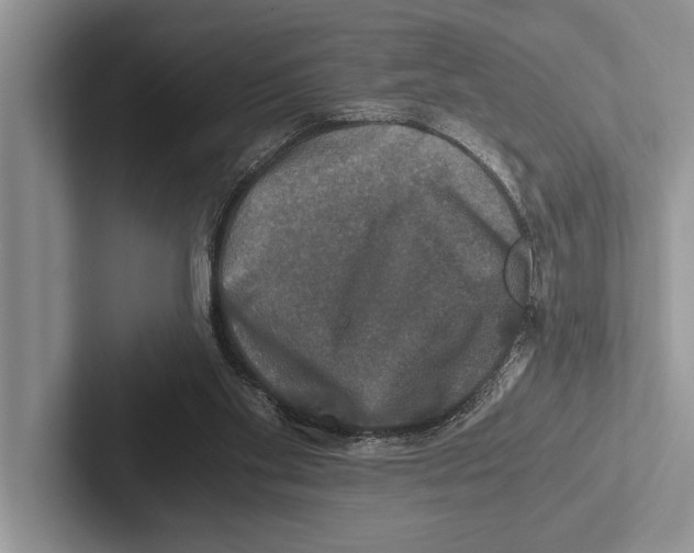 X0000102520109200809051452