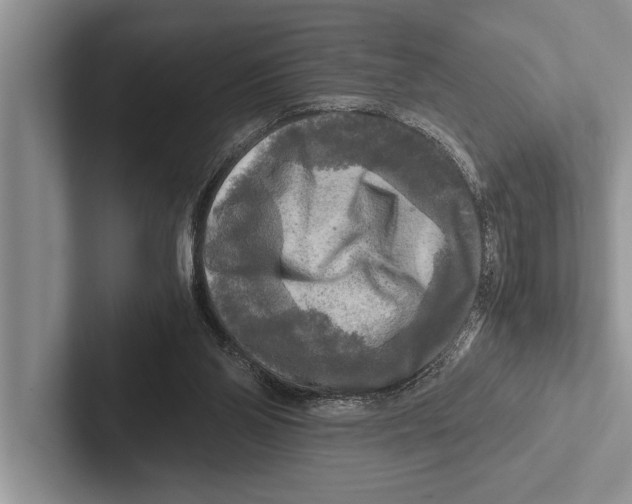 X0000102520110200809051452