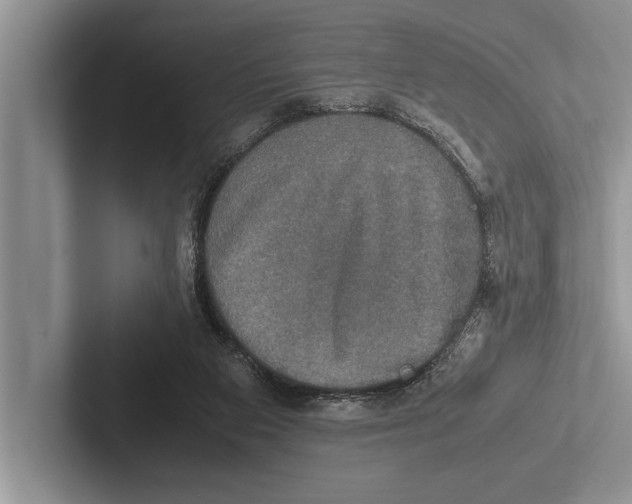 X0000102520113200809051452