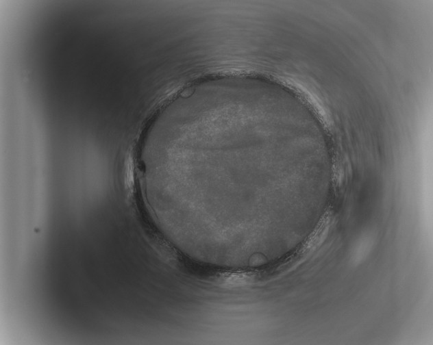 X0000102520115200809051452
