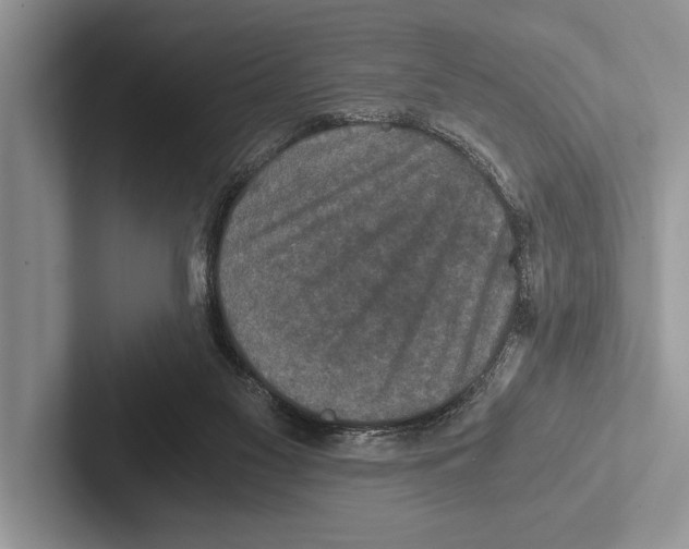 X0000102520117200809051452