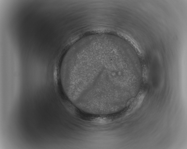 X0000102520119200809051452