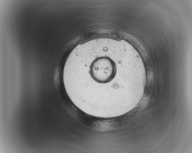 X0000102520120200809051452