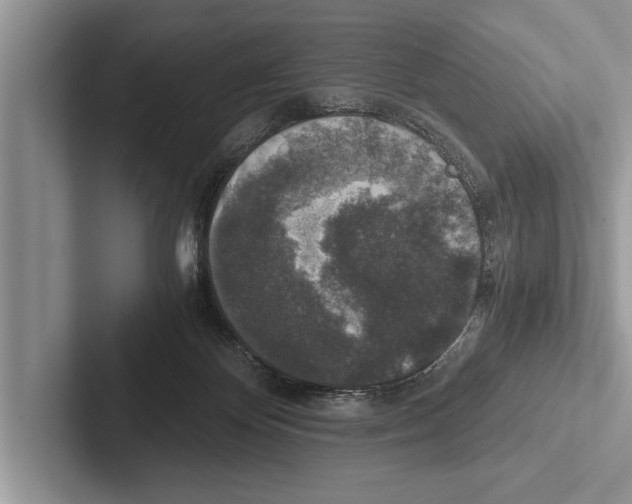 X0000102520124200809051452