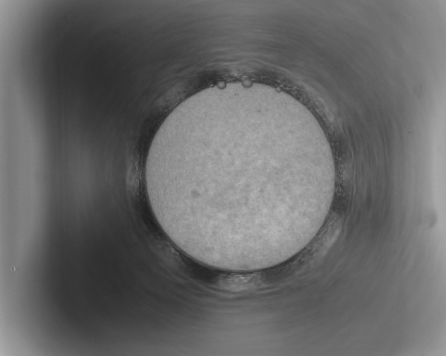 X0000102520129200809051452