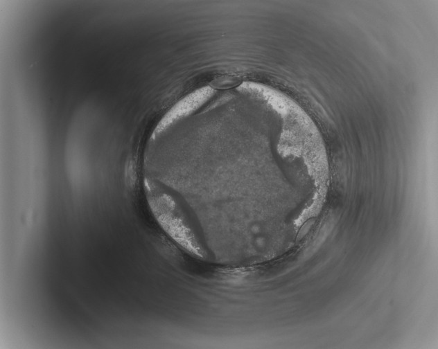 X0000102520131200809051451