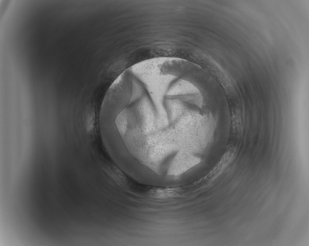 X0000102520134200809051451