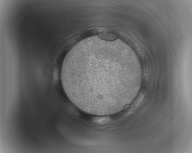 X0000102520135200809051451