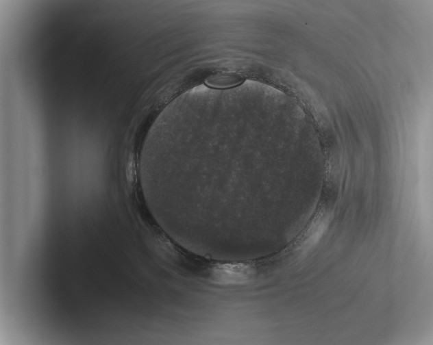 X0000102520137200809051451