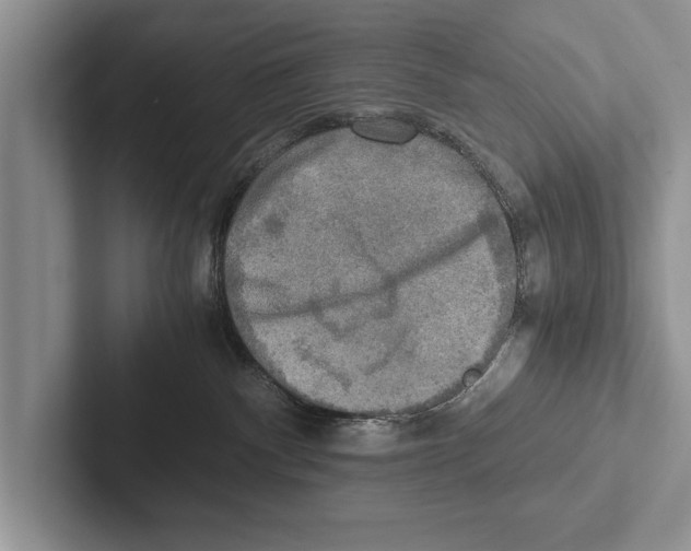 X0000102520140200809051451