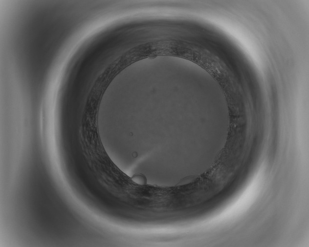 X0000102520143200809051451