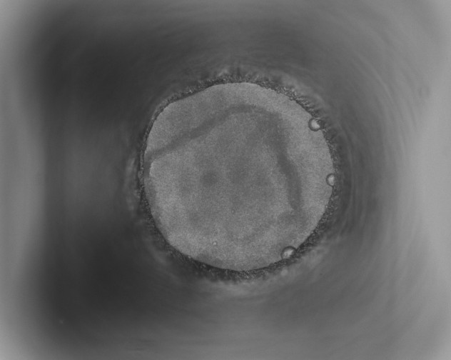 X0000102520144200809051451
