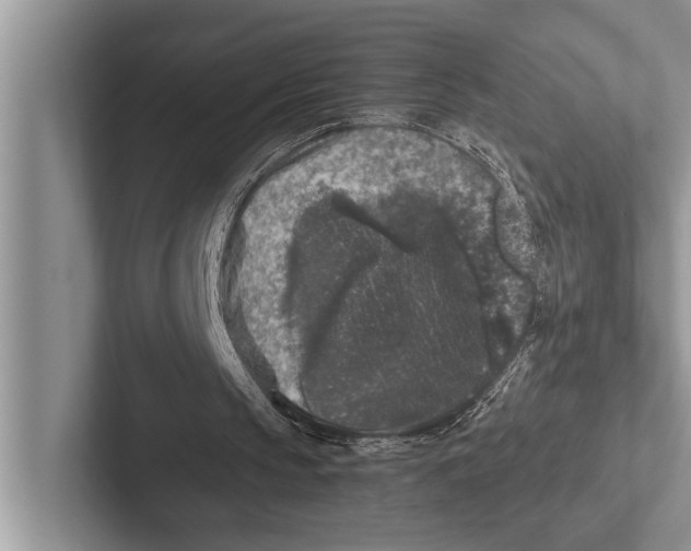 X0000102520145200809051451