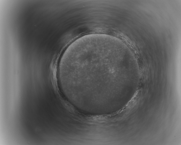 X0000102520146200809051451
