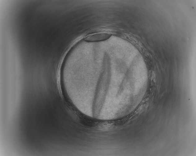 X0000102520148200809051451