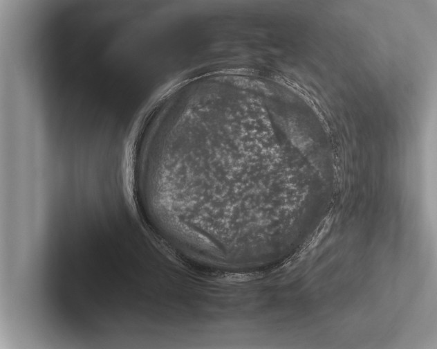 X0000102520149200809051451