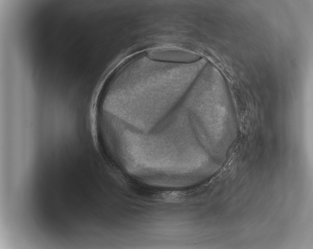 X0000102520152200809051451