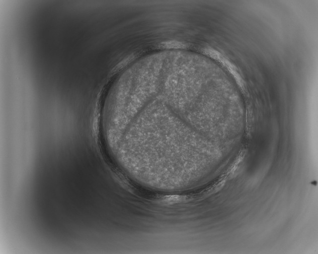 X0000102520153200809051451