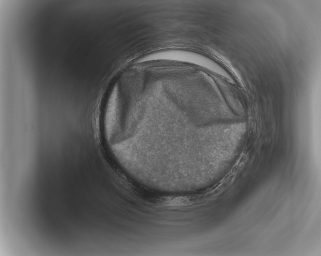 X0000102520154200809051451