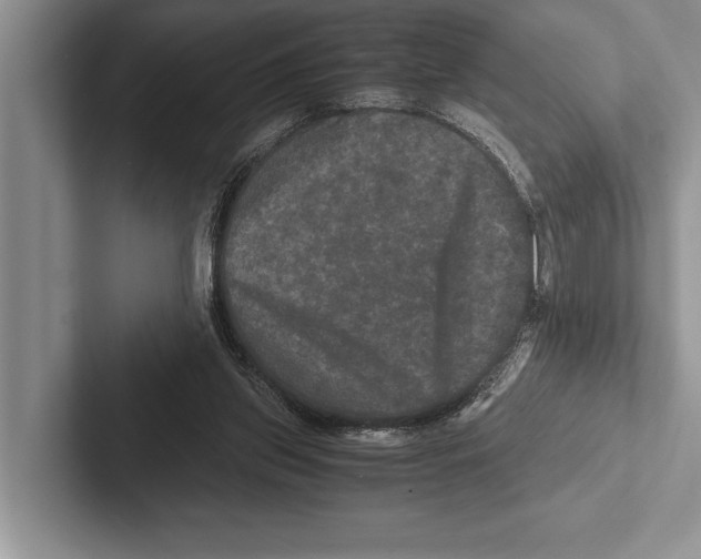 X0000102520157200809051451