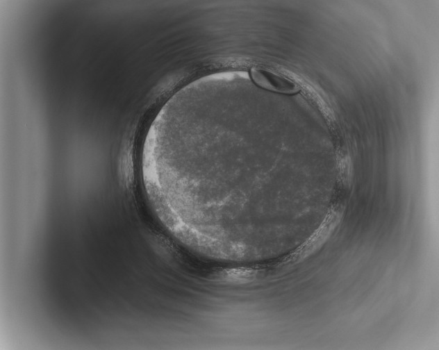 X0000102520158200809051451