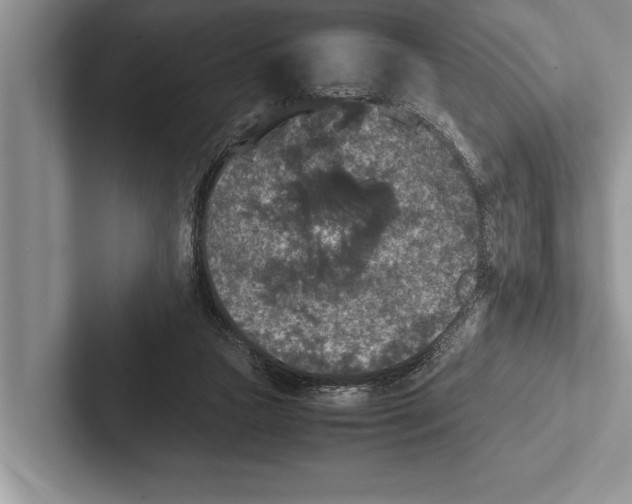 X0000102520161200809051451