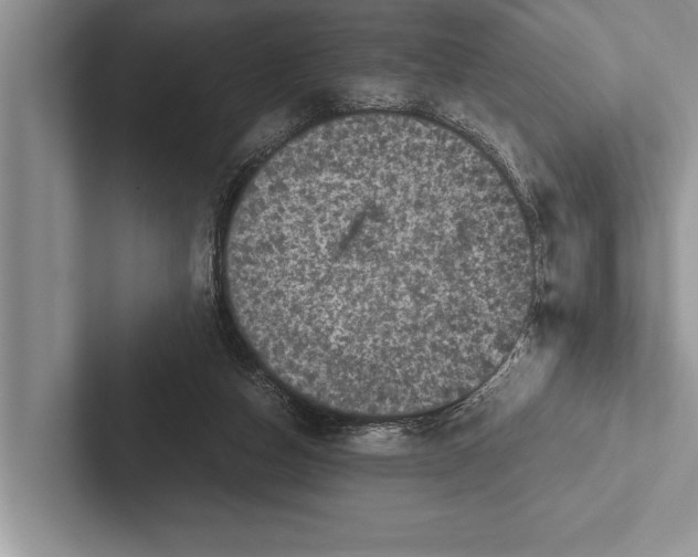X0000102520162200809051451