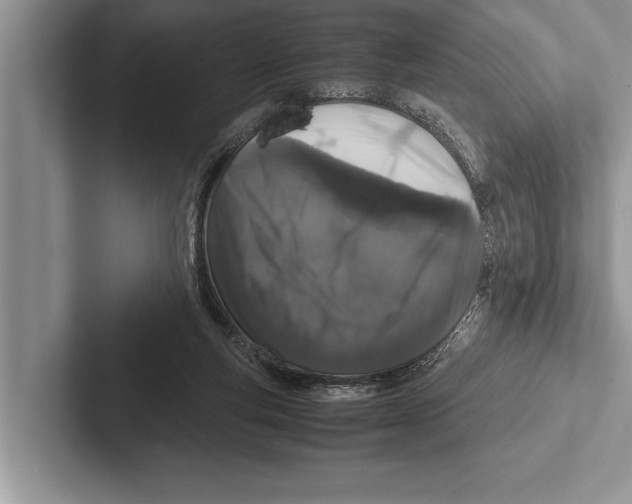 X0000102520163200809051451