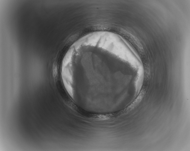 X0000102520166200809051451