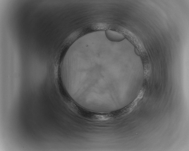 X0000102520167200809051451