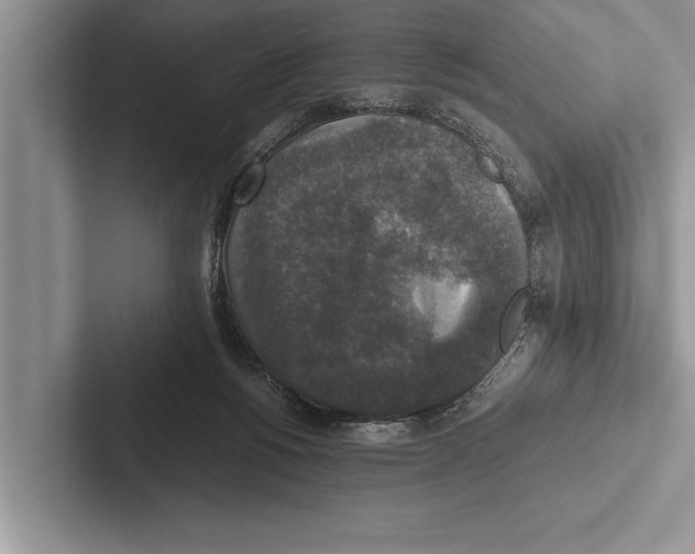 X0000102520168200809051451