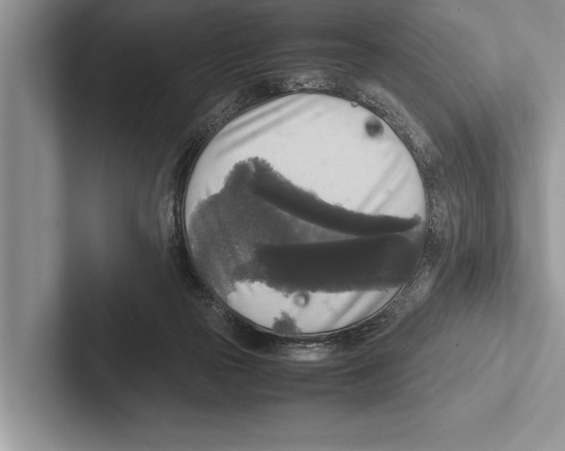 X0000102520169200809051451