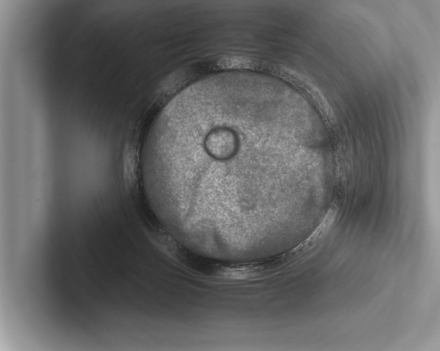 X0000102520171200809051451