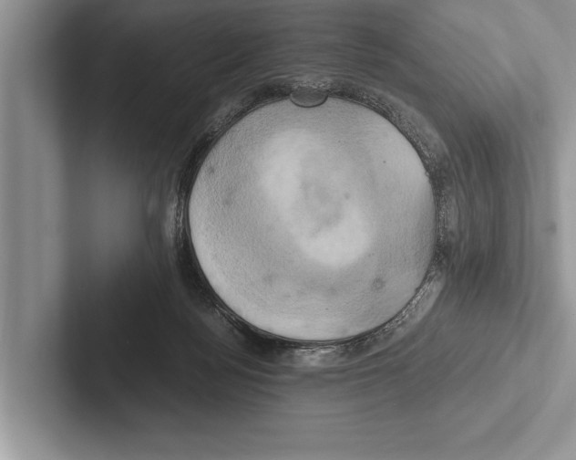 X0000102520172200809051451