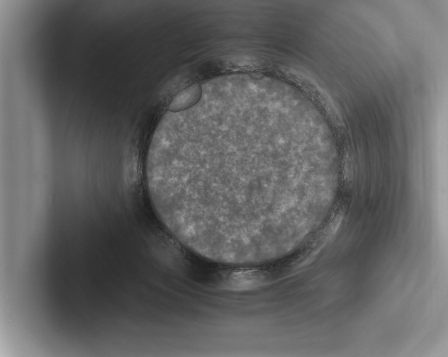 X0000102520173200809051451