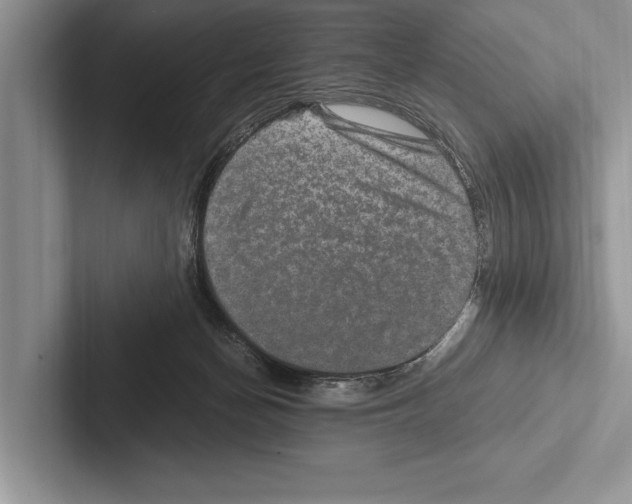 X0000102520174200809051451