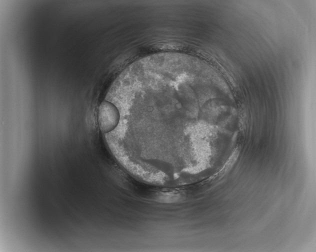 X0000102520175200809051451